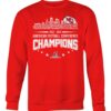 nfl kansas city chiefs american football conference champions lim37934483 vq3kc